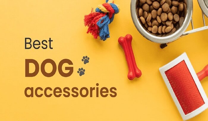 dog-accessories