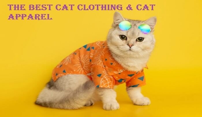 THE-BEST-CAT-CLOTHING-CAT-APPAREL