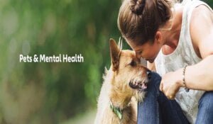 why-mental-health-is-important-for-dogs