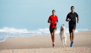 how-regular-exercise-in-the-fresh-air-can-improve-dog-health