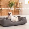 how-to-make-your-home-pet-friendly-room-by-room