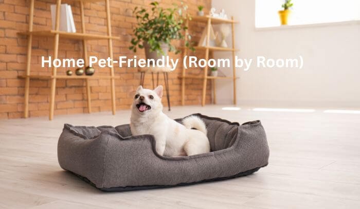 how-to-make-your-home-pet-friendly-room-by-room